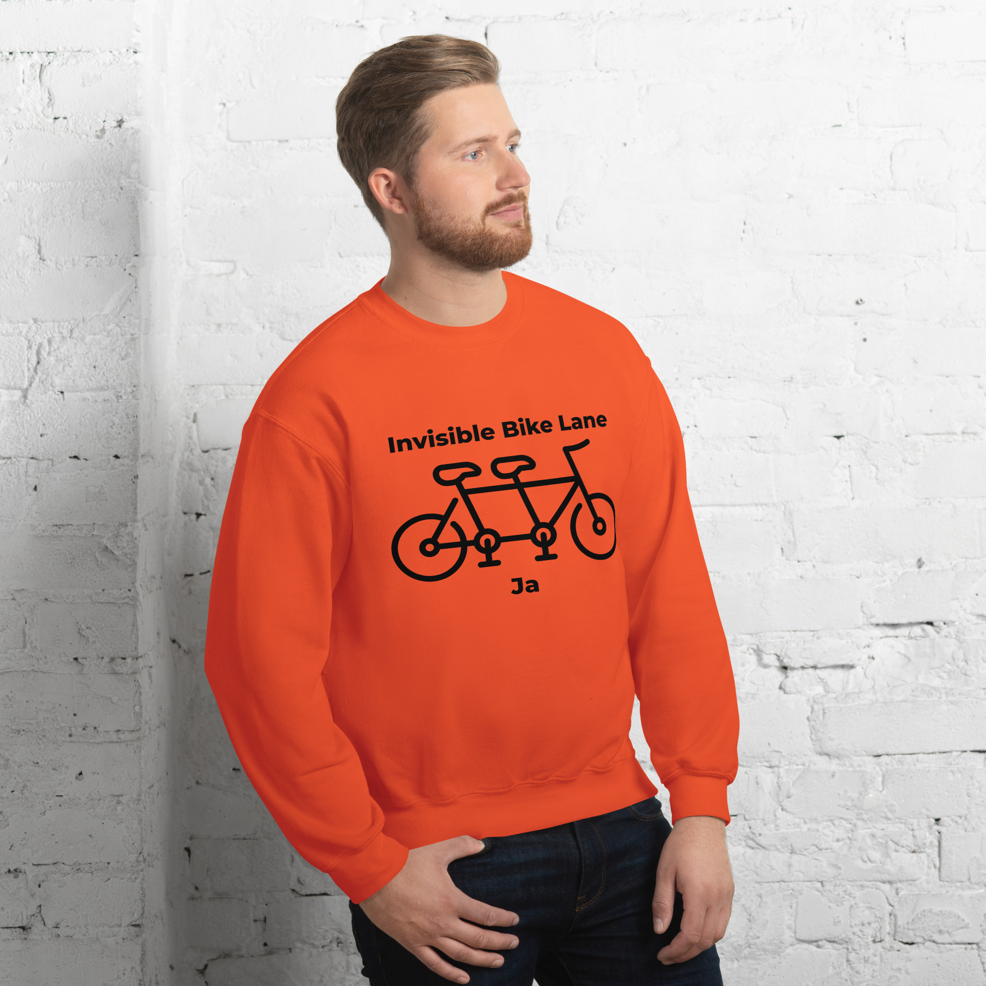 Invisible Bike Lane, Ja - Image 3